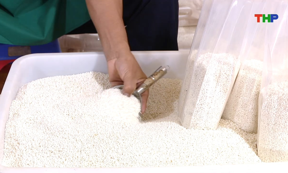 Bản tin tiếng Trung - 海防新闻 (10/02/2026)