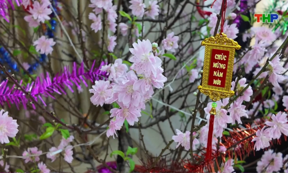 Bản tin thời sự cuối ng&agrave;y (14/02/2026)