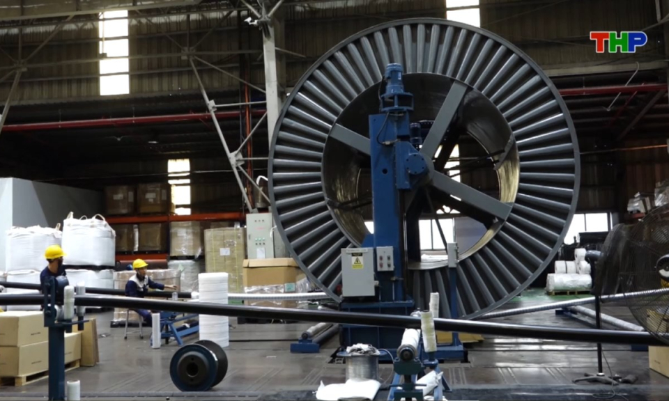 Nhịp sống 24h (14/02/2026)