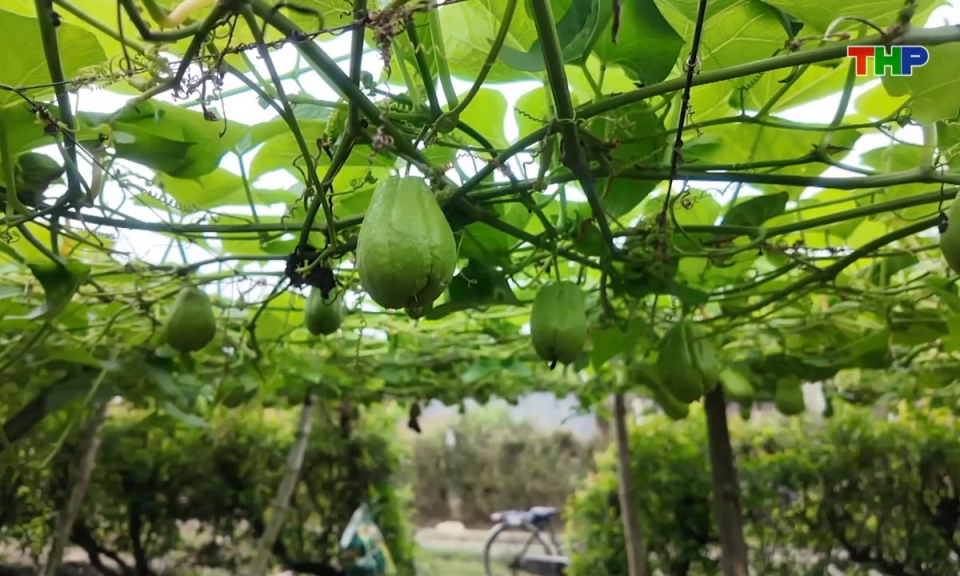 Bản tin thời sự s&aacute;ng (16/02/2026)