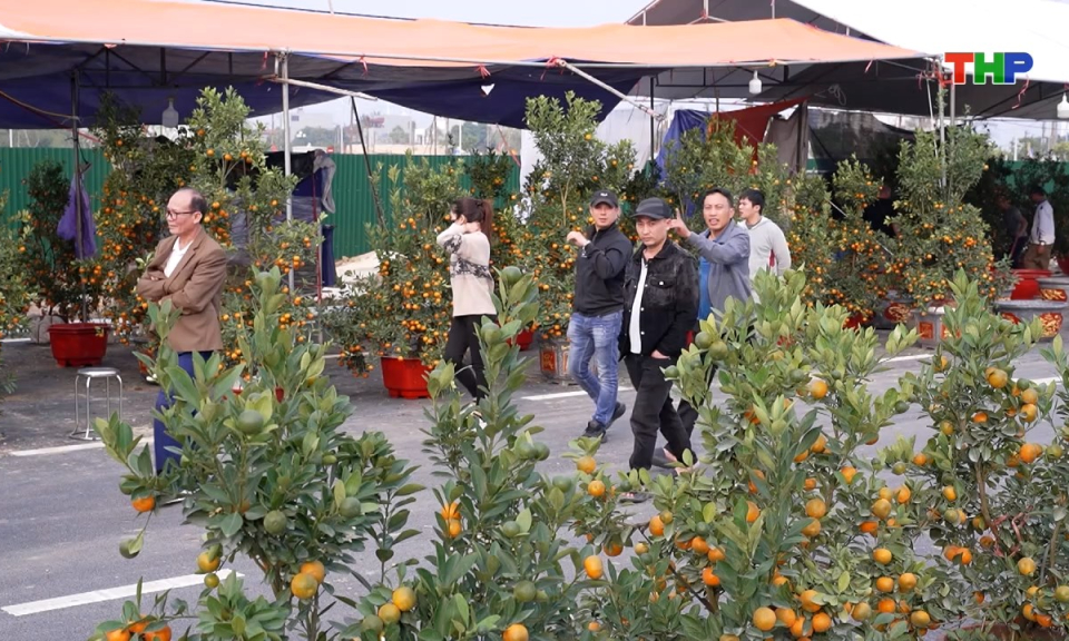 Bản tin tiếng Trung - 海防新闻 (15/02/2026)