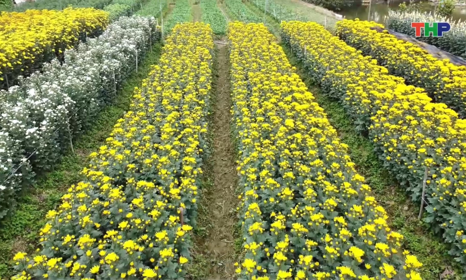 L&agrave;ng nghề c&acirc;y cảnh được m&ugrave;a