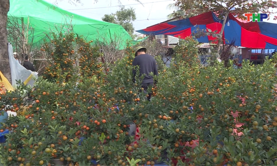 Nhộn nhịp chợ hoa xu&acirc;n ng&agrave;y cận Tết