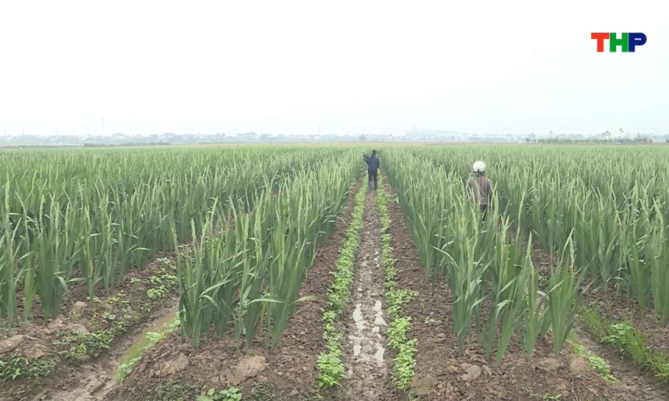 Nhịp sống 24h (16/02/2026)