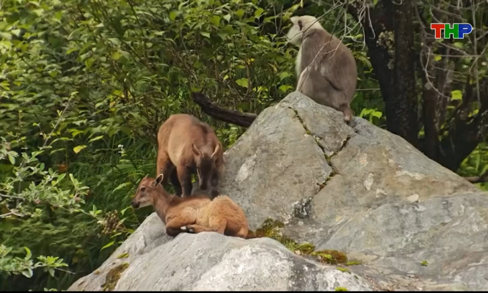 Thế giới mỗi ng&agrave;y (16/02/2026)