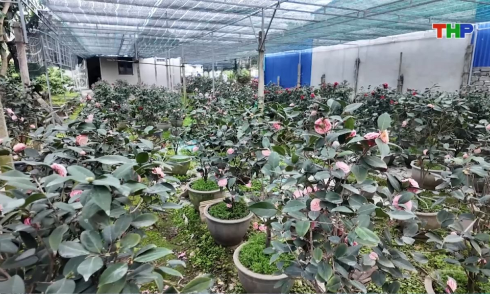 Bản tin thời sự s&aacute;ng (18/02/2026)