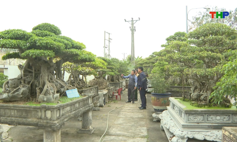 Đồng h&agrave;nh c&ugrave;ng nh&agrave; n&ocirc;ng: Xu&acirc;n mới tr&ecirc;n những b&agrave;n tay n&ocirc;ng d&acirc;n s&aacute;ng tạo