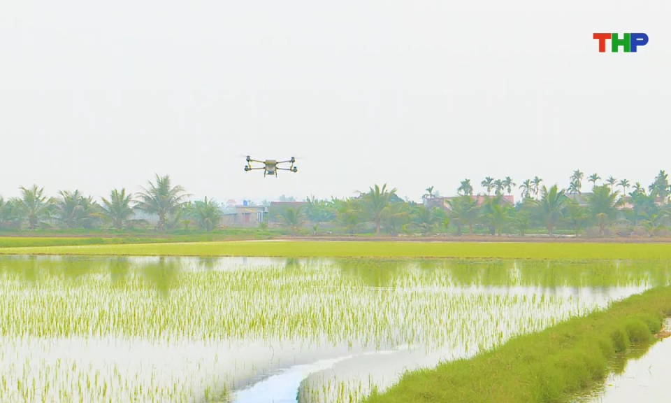 N&ocirc;ng th&ocirc;n mới Hải Ph&ograve;ng: N&ocirc;ng nghiệp Hải Ph&ograve;ng vươn xa, hội nhập quốc tế