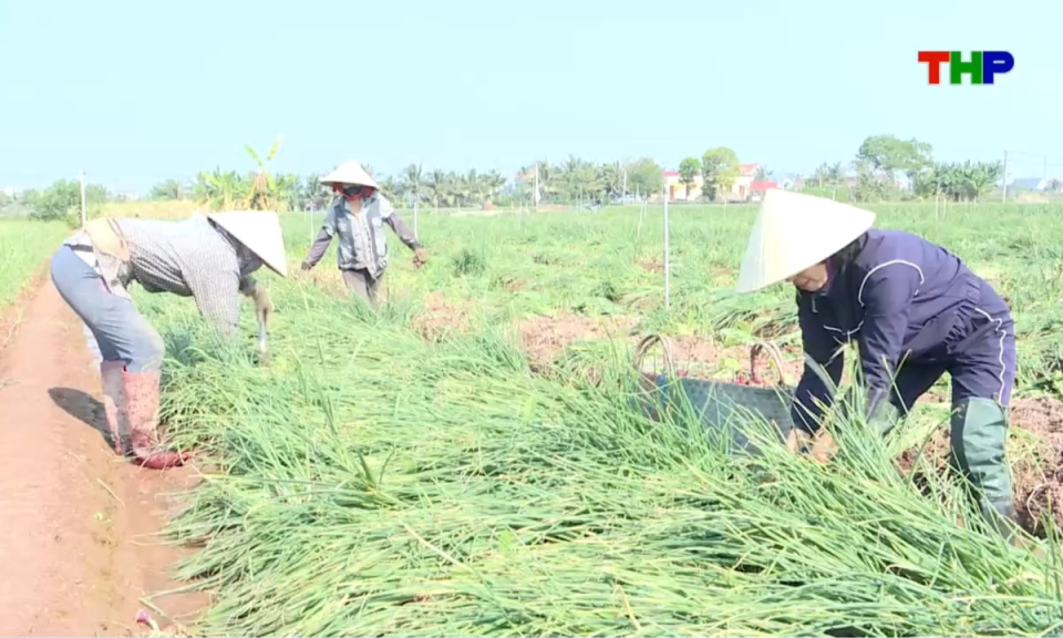 10 ph&uacute;t v&agrave;ng (20/02/2026)