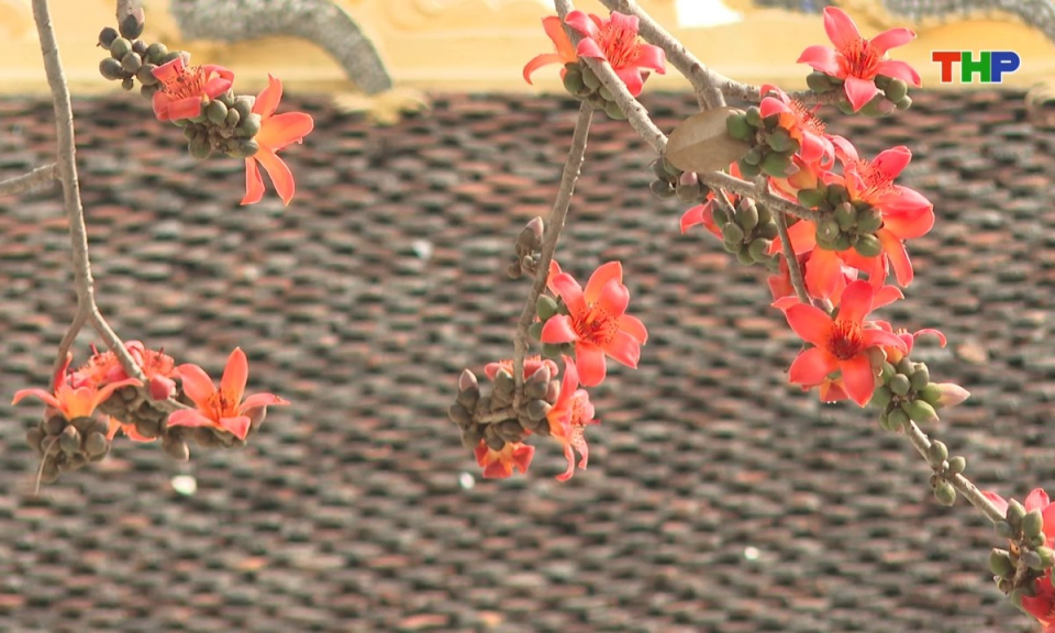 Nhịp sống 24h (22/02/2026)