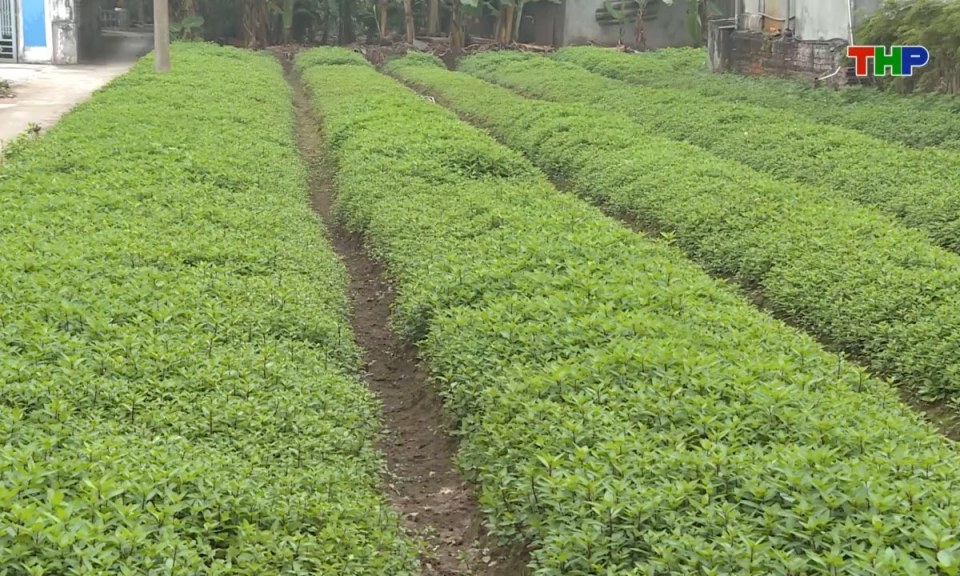 Bản tin thời sự s&aacute;ng (23/02/2026)