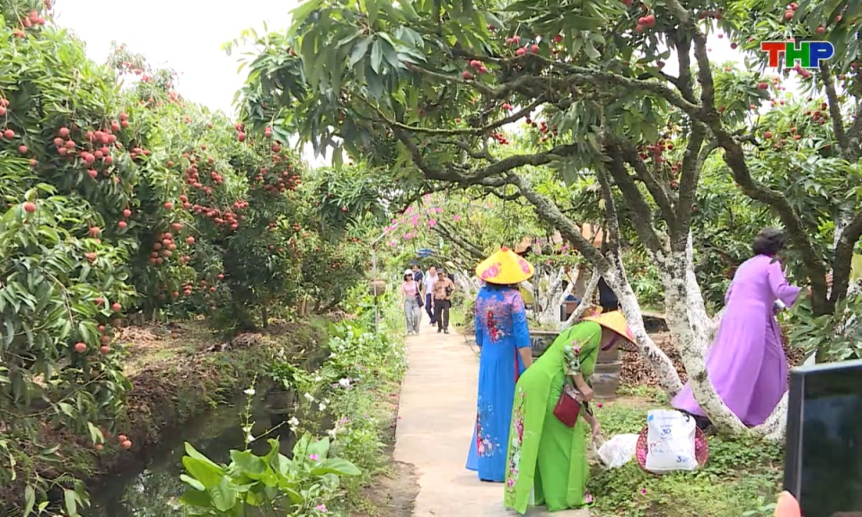 Bản tin tiếng Anh - Hai Phong News (21/02/2026)