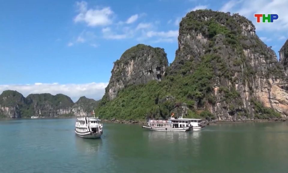 Bản tin tiếng Trung - 海防新闻 (22/02/2026)