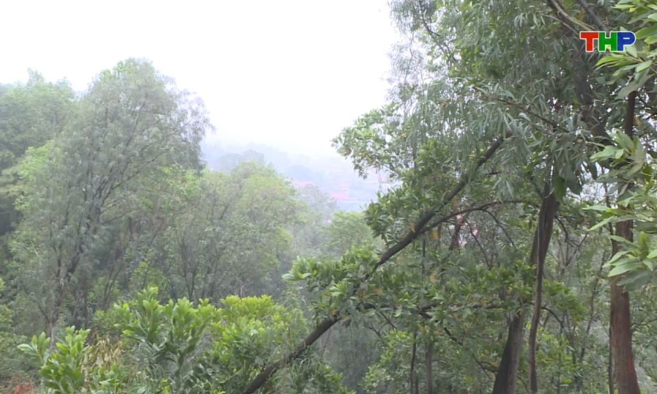 Ch&iacute;nh s&aacute;ch ph&aacute;p luật: Tăng cường quản l&yacute;, bảo vệ v&agrave; ph&ograve;ng, chống ch&aacute;y rừng dịp Tết Nguy&ecirc;n đ&aacute;n