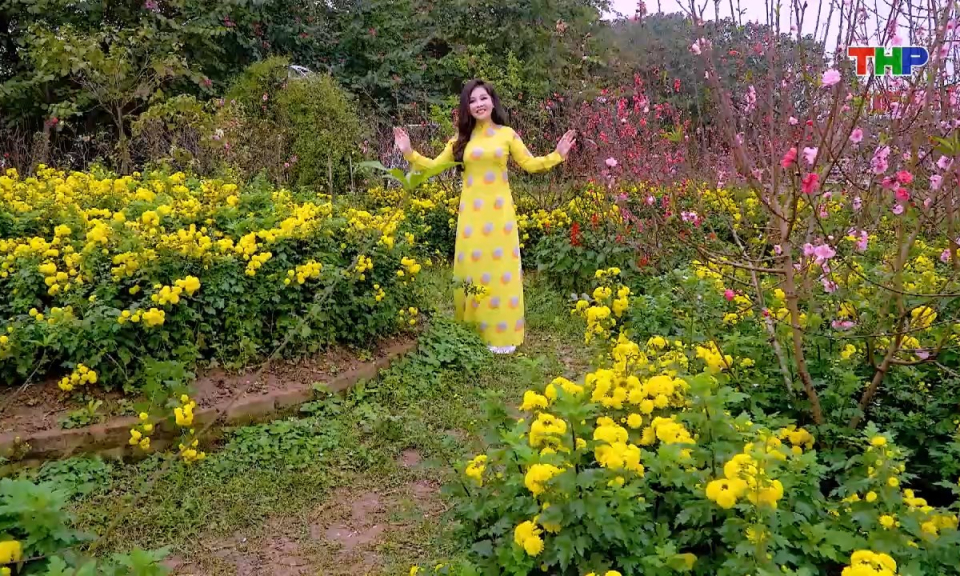 Ca nhạc: Kh&uacute;c xu&acirc;n nồng