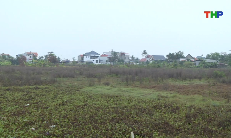 Ph&aacute;p luật v&agrave; cuộc sống: Thu hồi đất n&ocirc;ng nghiệp kh&ocirc;ng sử dụng theo Luật Đất đai 2024