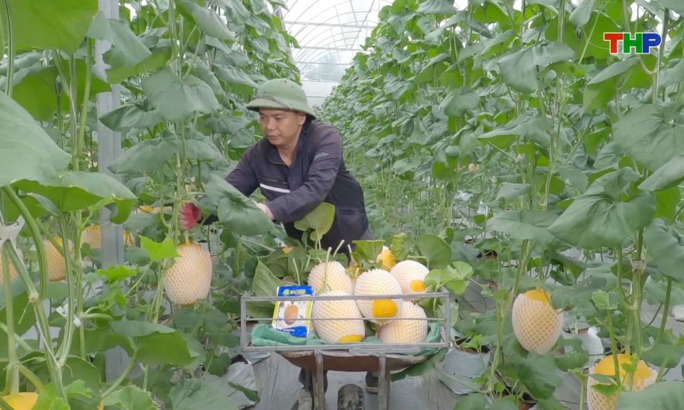 N&ocirc;ng nghiệp c&ocirc;ng nghệ cao mở hướng ph&aacute;t triển mới