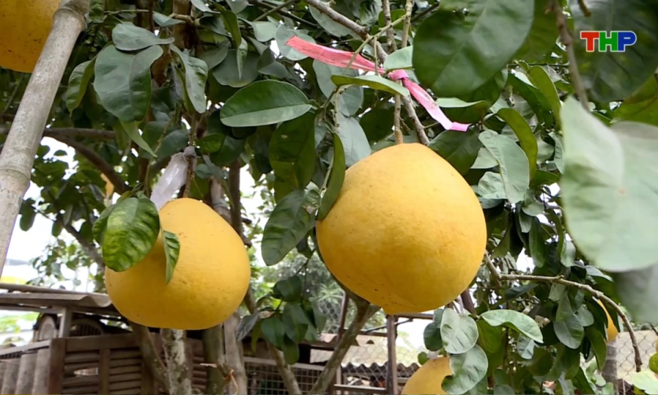 10 ph&uacute;t v&agrave;ng (26/02/2026)