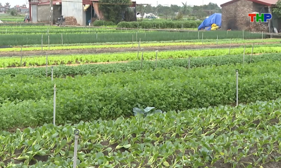 Nhịp sống 24h (26/02/2026)