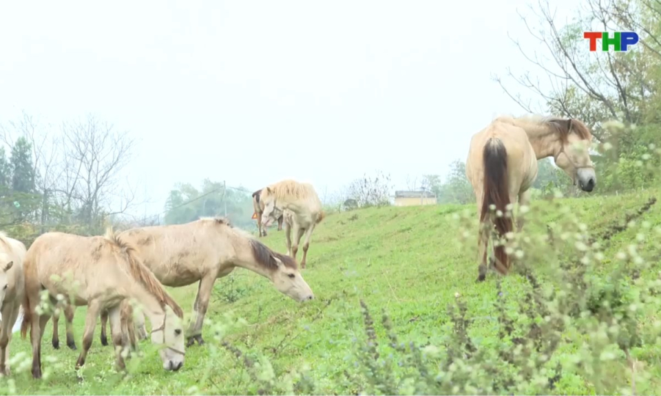 Bản tin thời sự s&aacute;ng (27/02/2026)