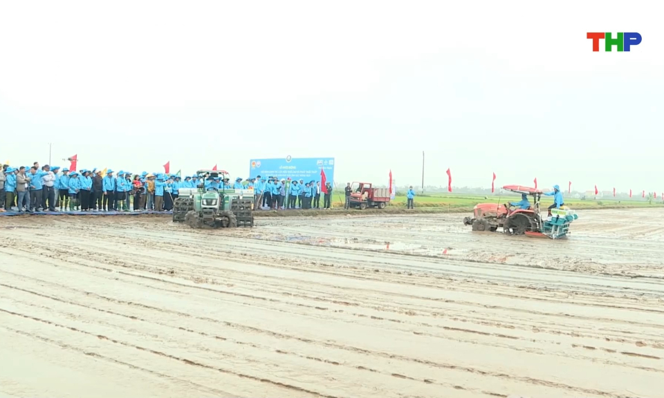 M&ocirc; h&igrave;nh l&uacute;a hiệu quả cao, ph&aacute;t thải thấp 