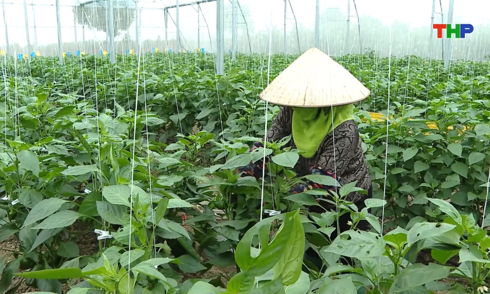 Đề xuất n&acirc;ng mức hỗ trợ bảo hiểm n&ocirc;ng nghiệp