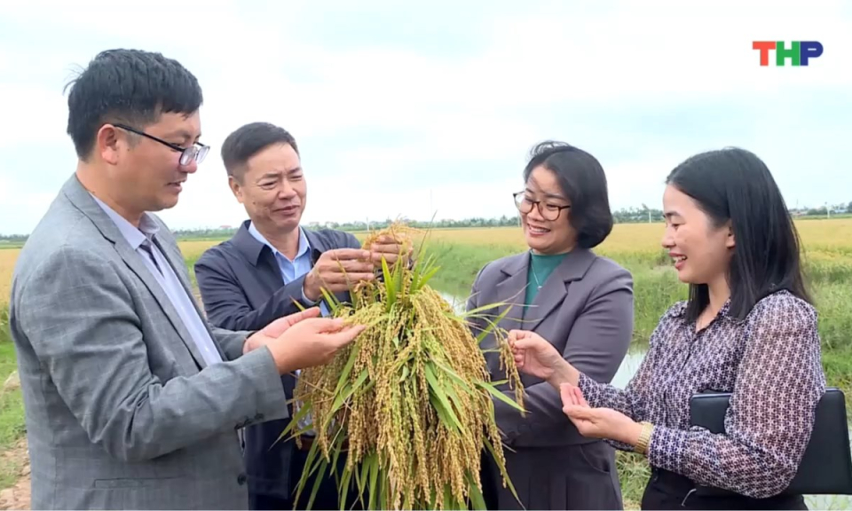 10 ph&uacute;t v&agrave;ng (27/02/2026)