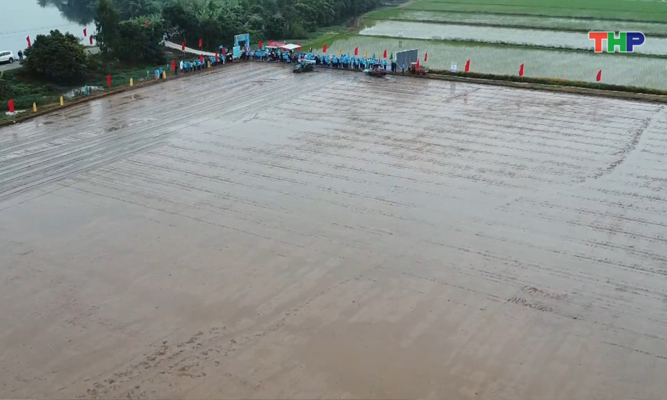 Ứng dụng c&ocirc;ng nghệ trong canh t&aacute;c l&uacute;a ph&aacute;t thải thấp