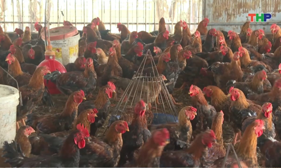 Nhịp sống 24h (28/02/2026)