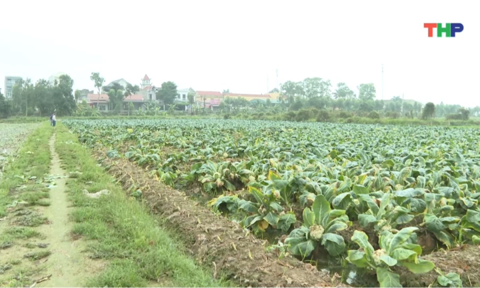 Bản tin thời sự tối (01/03/2026)