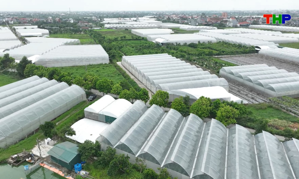 Đ&ocirc; thị v&agrave; cuộc sống: Ph&aacute;t triển kinh tế ven đ&ocirc;