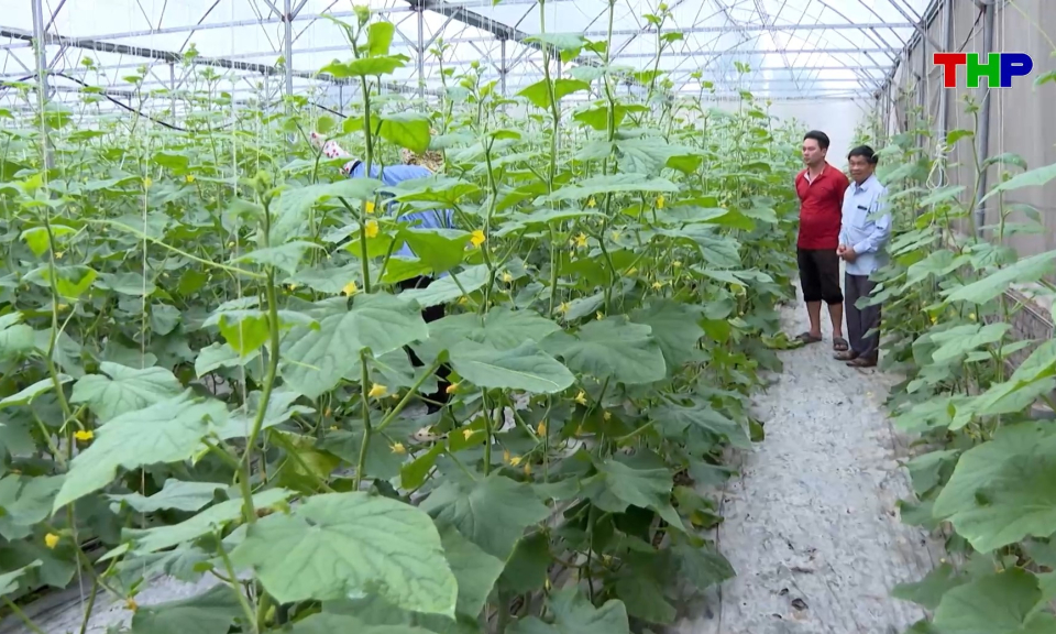 Bản tin thời sự 17h00 (03/03/2026)