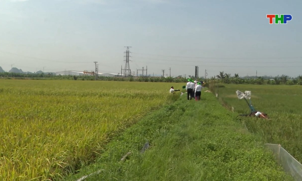 Bản tin thời sự cuối ng&agrave;y (03/03/2026)