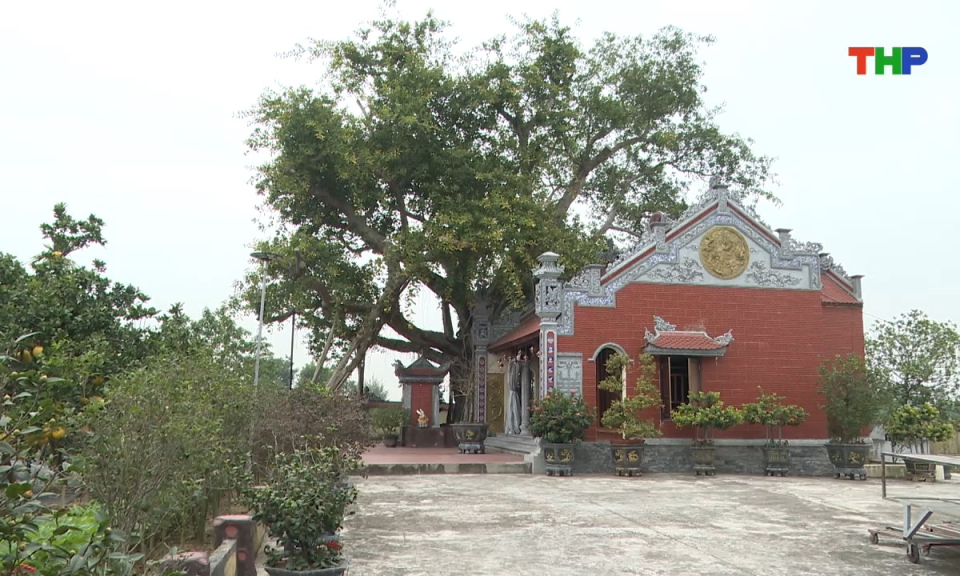 Hộp thư truyền h&igrave;nh: Th&aacute;o gỡ kh&oacute; khăn cấp giấy chứng nhận quyền sử dụng đất t&ocirc;n gi&aacute;o