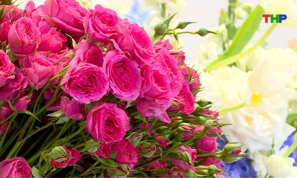 10 ph&uacute;t v&agrave;ng (08/03/2026)