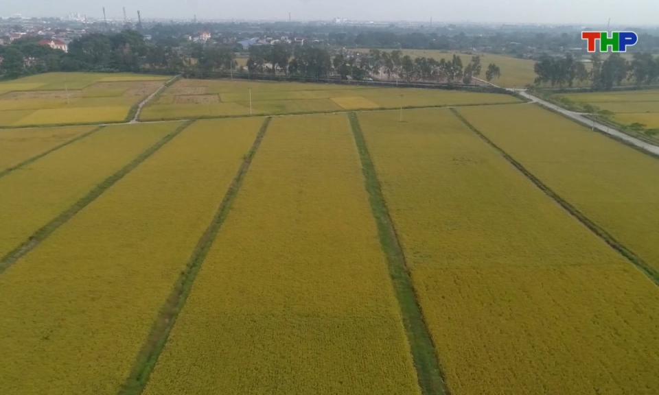 Bản tin thời sự cuối ng&agrave;y (08/03/2026)