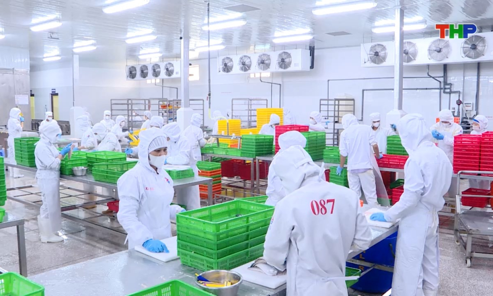 Bản tin tiếng Anh - Hai Phong News (08/03/2026)