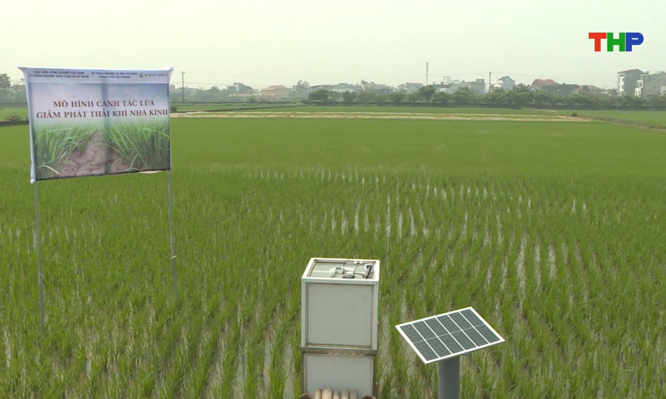 Triển khai c&aacute;c dự &aacute;n n&ocirc;ng nghiệp th&iacute;ch ứng biến đổi kh&iacute; hậu 