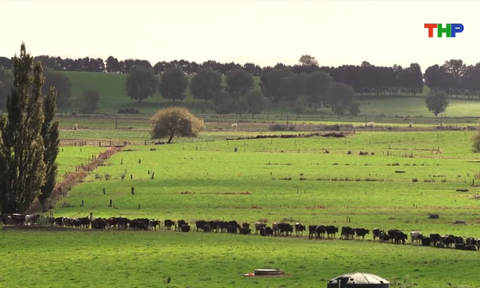 Kh&aacute;m ph&aacute; thế giới: H&agrave; Lan v&agrave; c&acirc;u chuyện ph&aacute;t triển n&ocirc;ng nghiệp bền vững