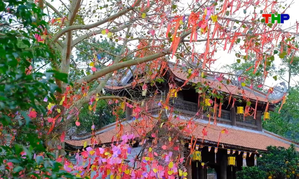 Chạm Hải Ph&ograve;ng: C&acirc;y ước nguyện