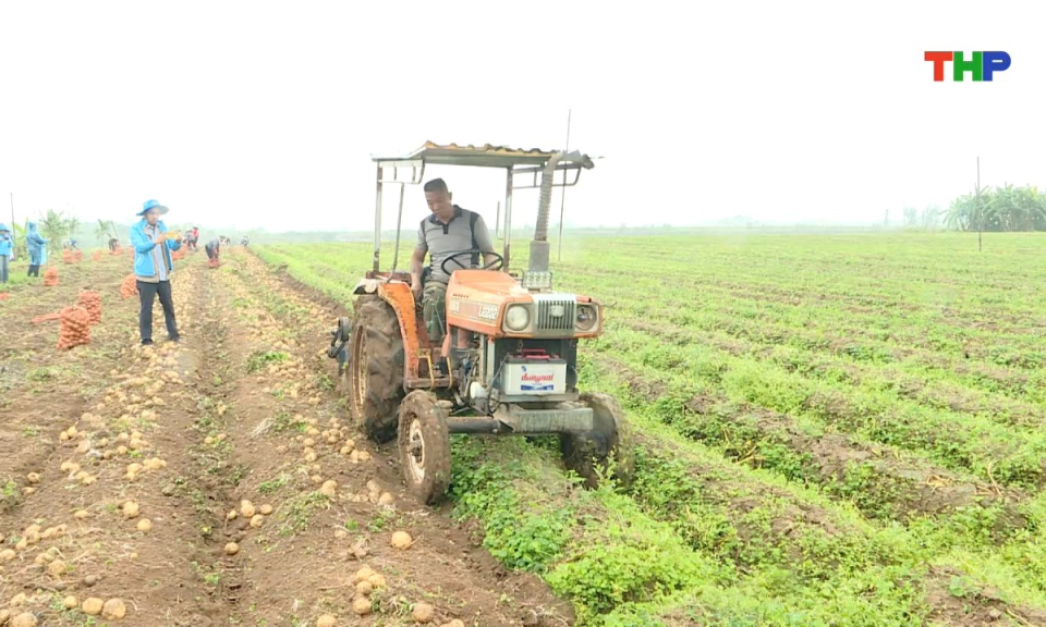 Bản tin tiếng Anh - Hai Phong News (12/03/2026)