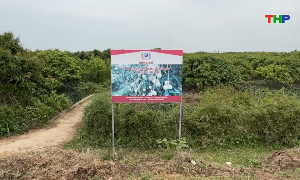 Bản tin tiếng Trung - 海防新闻 (12/03/2026)