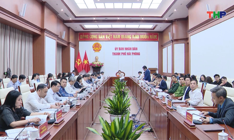 Chuẩn bị tổ chức Lễ hội Hoa Phượng Đỏ - Hải Ph&ograve;ng 2026