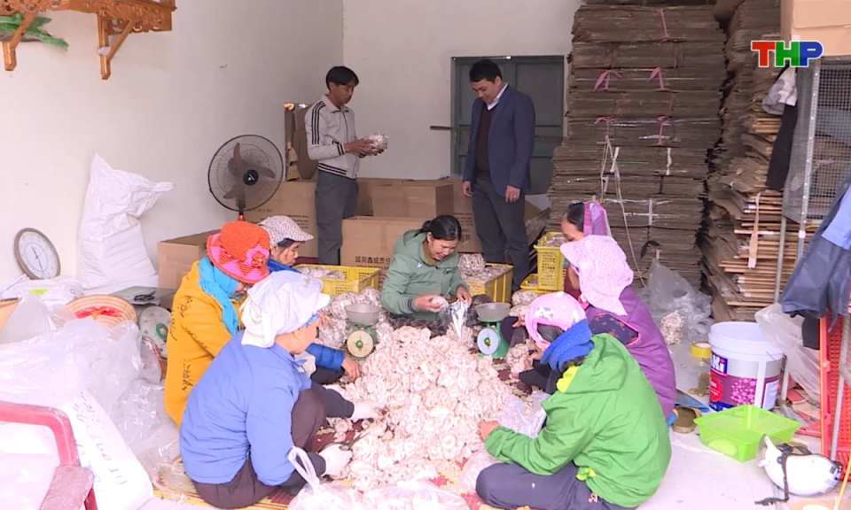 Bản tin tiếng Trung - 海防新闻 (13/03/2026)