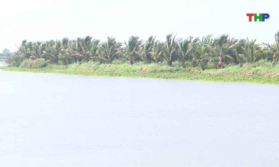 Bản tin thời sự trưa (14/03/2026)