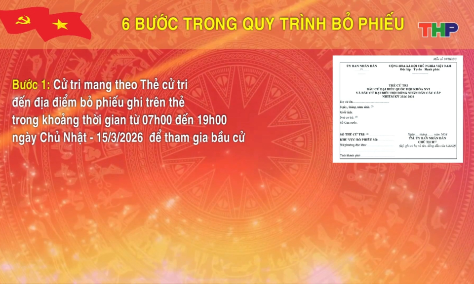 Quy trình bỏ phiếu bầu cử đại biểu Quốc hội và HĐND các cấp