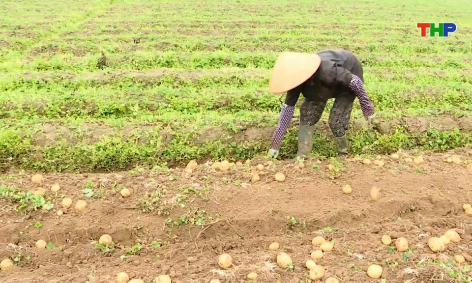 Bản tin thời sự cuối ng&agrave;y (15/03/2026)