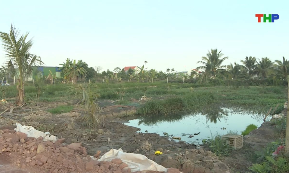 Bản tin tiếng Anh - Hai Phong News (16/03/2026)