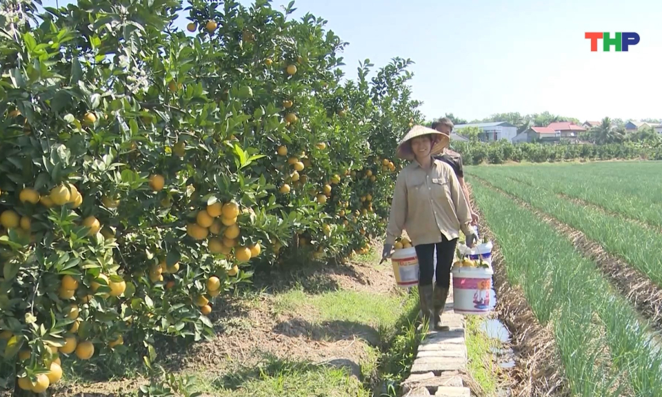 Th&uacute;c đẩy ph&aacute;t triển n&ocirc;ng nghiệp xanh, bền vững