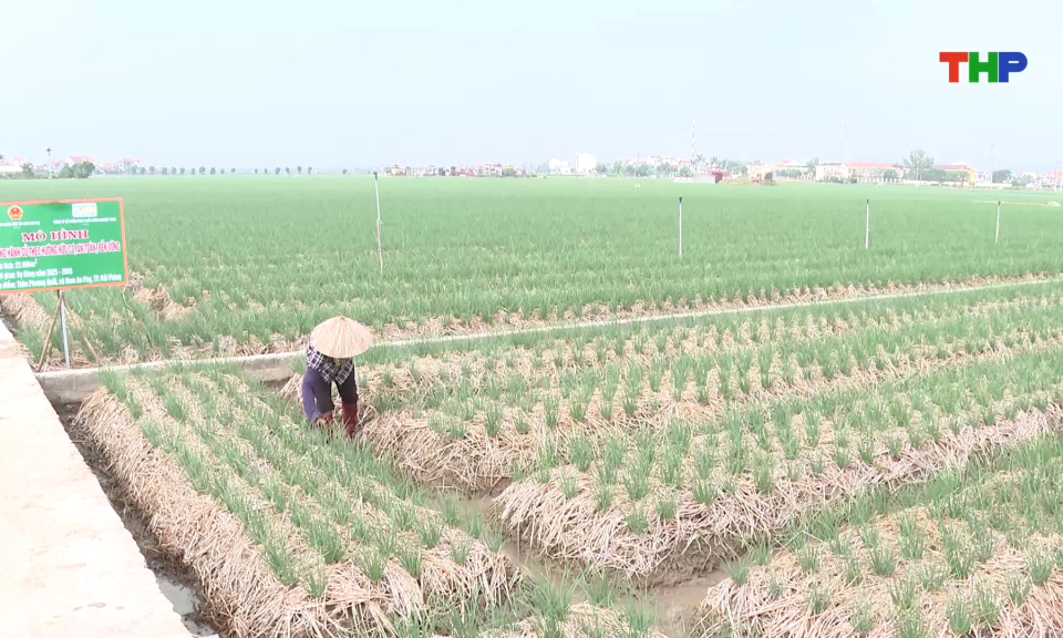 Sản xuất giảm phát thải lĩnh vực trồng trọt giai đoạn 2025-2035, tầm nhìn đến 2050